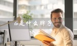 lv是什么牌子（lv包是哪个牌子的）