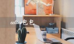 celine包包（Celine包包中国官网是什么）
