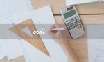 vidi（vidivici洗面奶的提问式标题是什么）