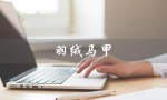 羽绒马甲（男款羽绒马甲是什么）